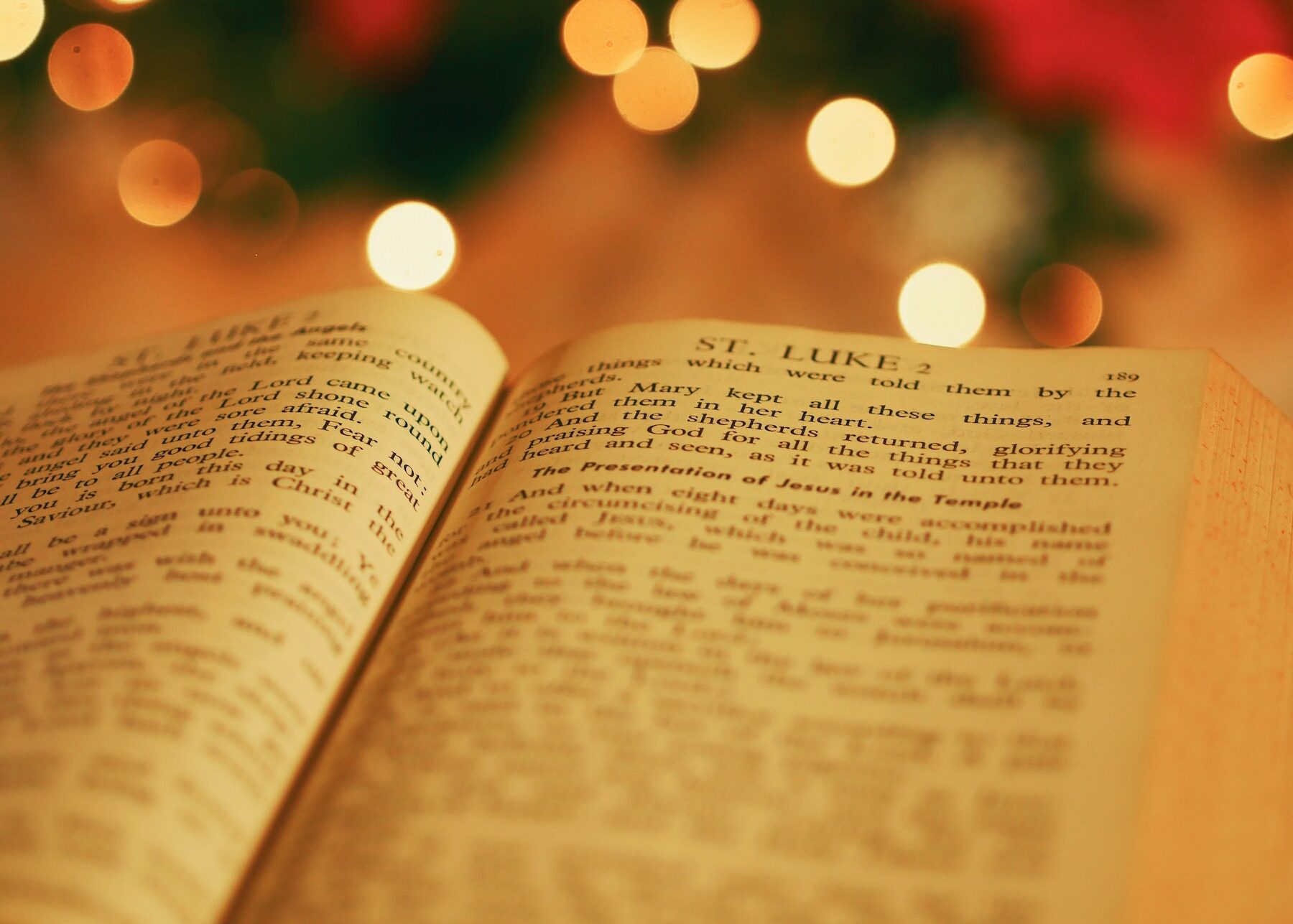 bible open on Luke with Christmas lights